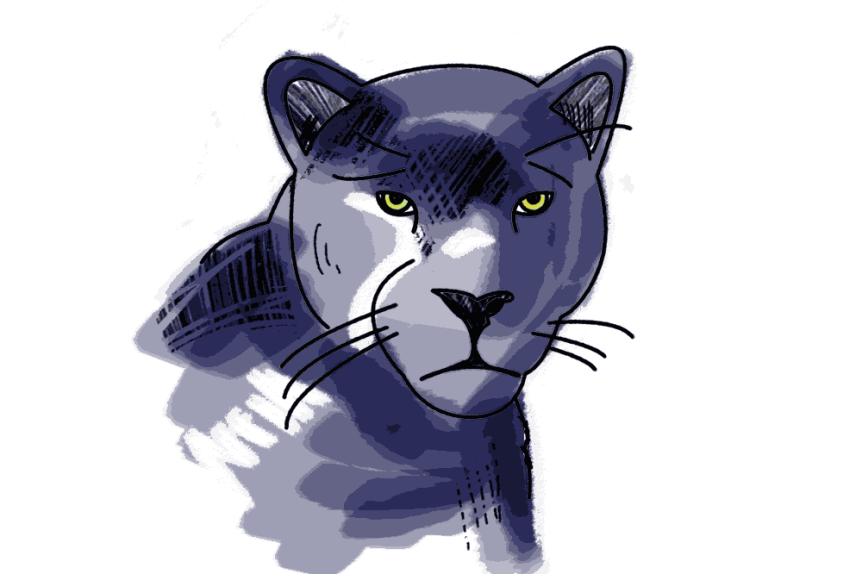 Panther