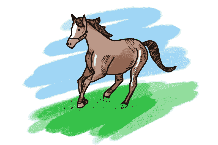 Pferd
