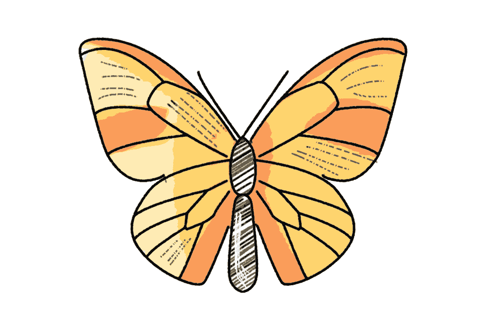 Schmetterling Butterfly Schulranzen Motiv