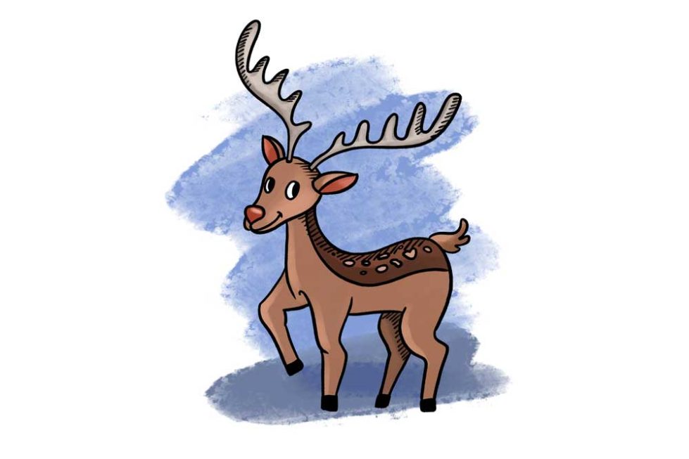 Reh